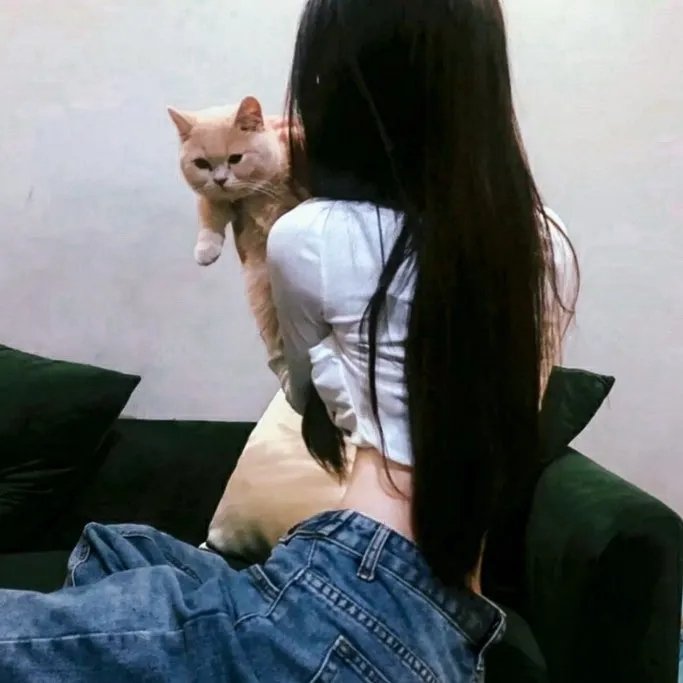 温顺者